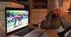 Picture of Canine Homeschooling (Monthly)